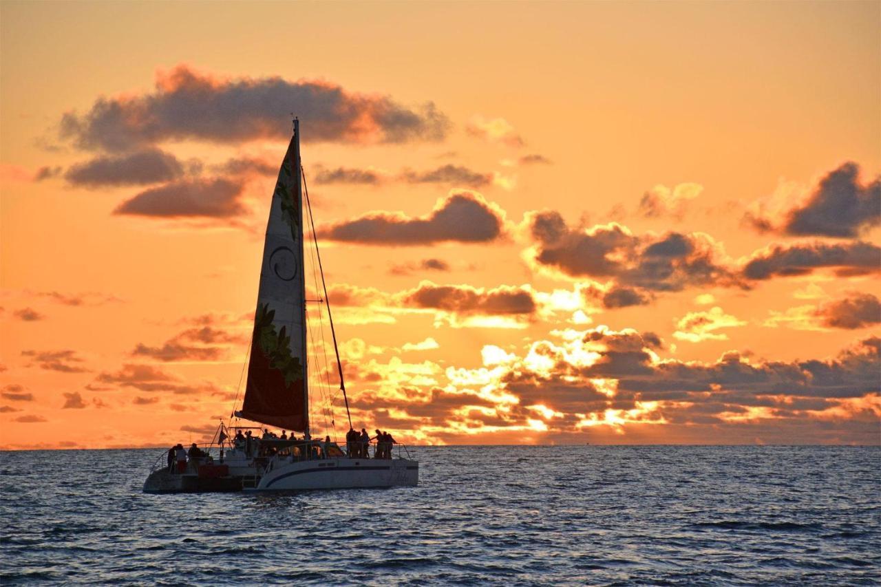 Ilikai #1517 Lägenhet Honolulu Exteriör bild